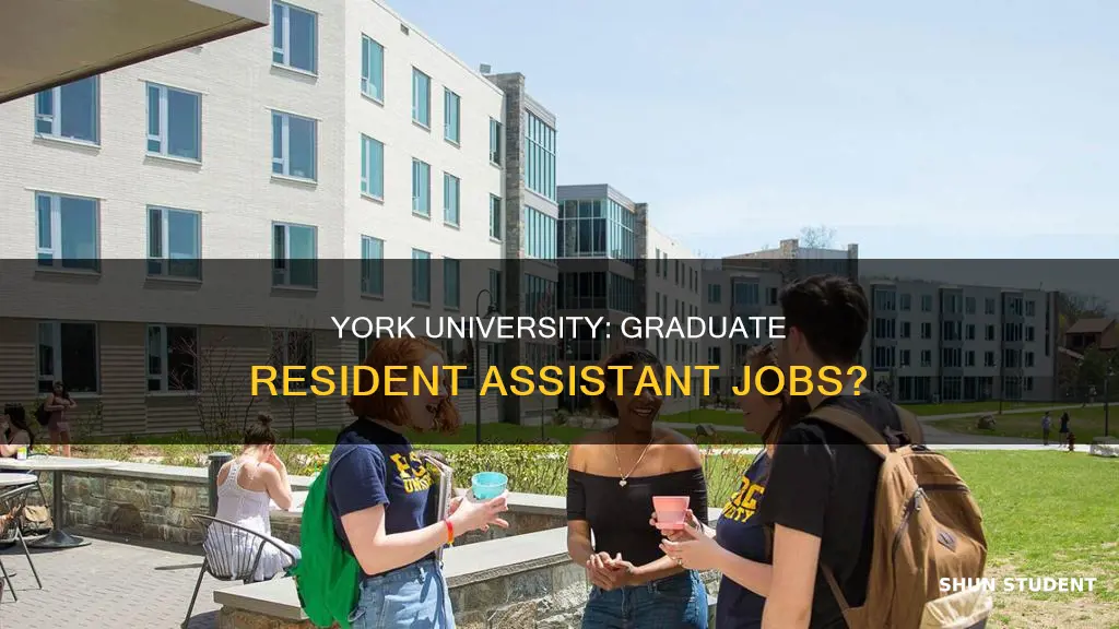 does york university offer resident assistant jobs for graduate students