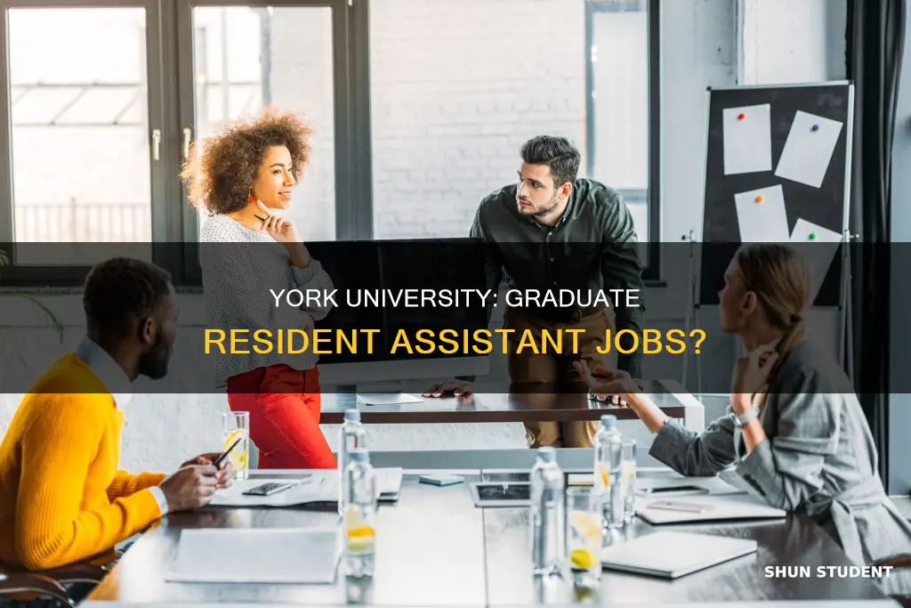 does york university offer resident assistant jobs for graduate students