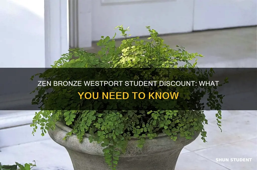 does zen bronze westport have student discount