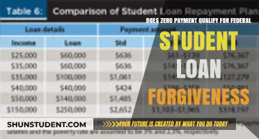 Can Zero Payment Plans Qualify for Federal Student Loan Forgiveness?