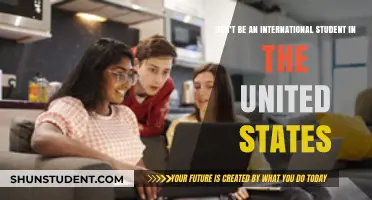 A Risky Bet: International Students in the US