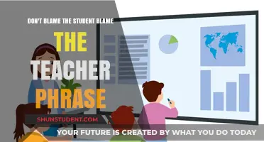 Don't Blame the Student: Rethinking Teacher Accountability in Education