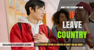 Expat Student Loan Default: A Viable Option?