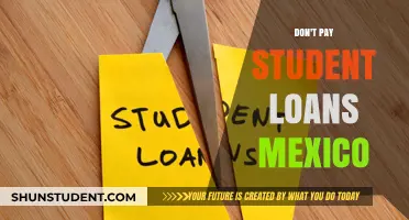 Student Loans: Mexico's Free Education Advantage