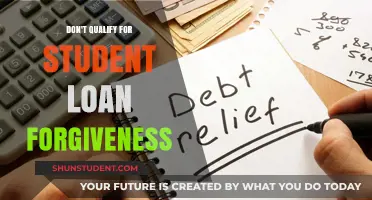 No Loan Forgiveness? Explore Alternative Debt Relief Strategies Now