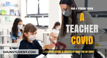 Student-to-Teacher COVID Transmission: Unraveling the Classroom Contagion Concerns