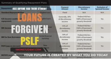 Has Anyone Achieved Student Loan Forgiveness Through PSLF? Real Stories