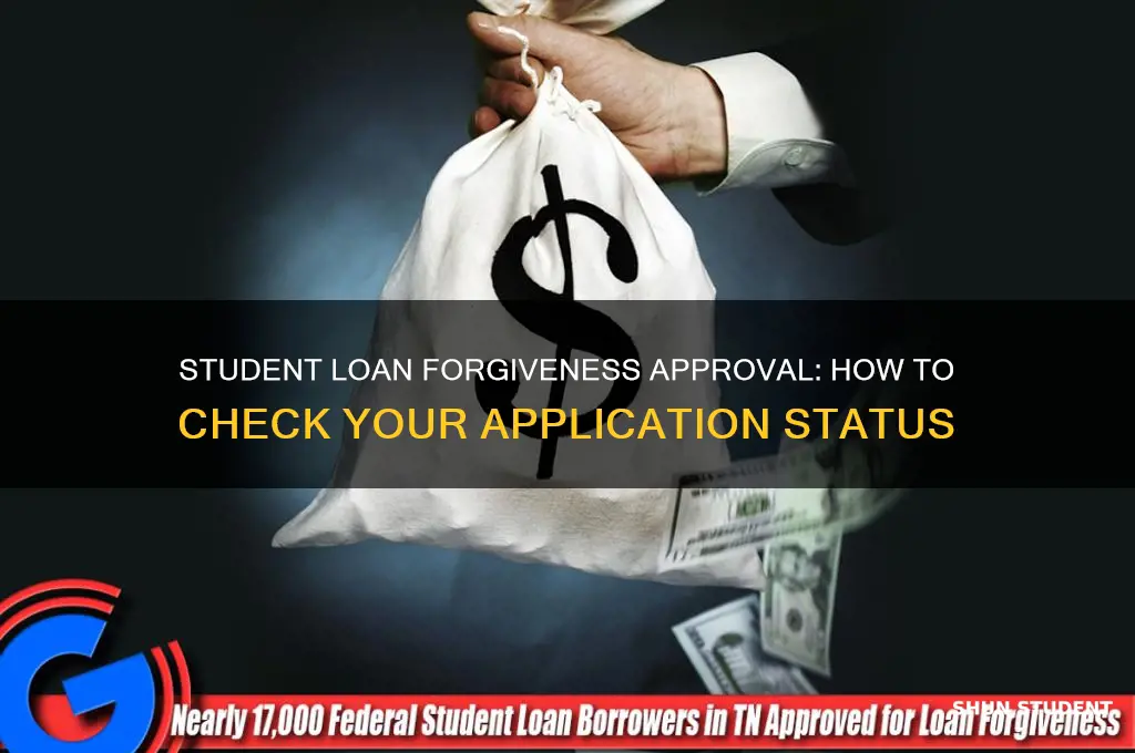 has my student loan forgiveness been approved