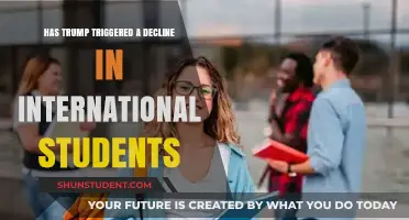 Trump's Impact: International Students Decline in the US
