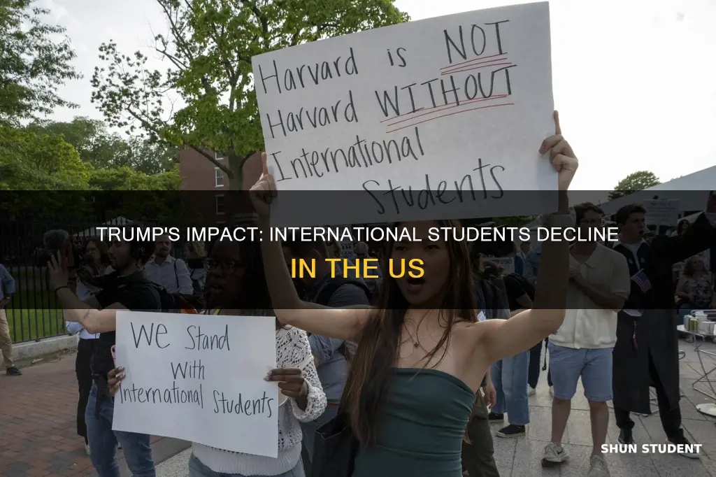 has trump triggered a decline in international students