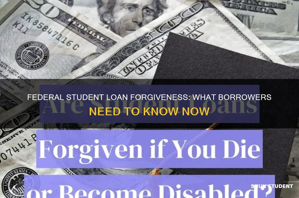 have federal student loans been forgiven