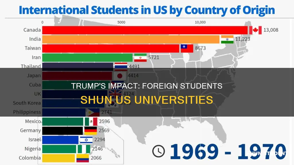 have foreign student enrollment in us universities decreased unper trump