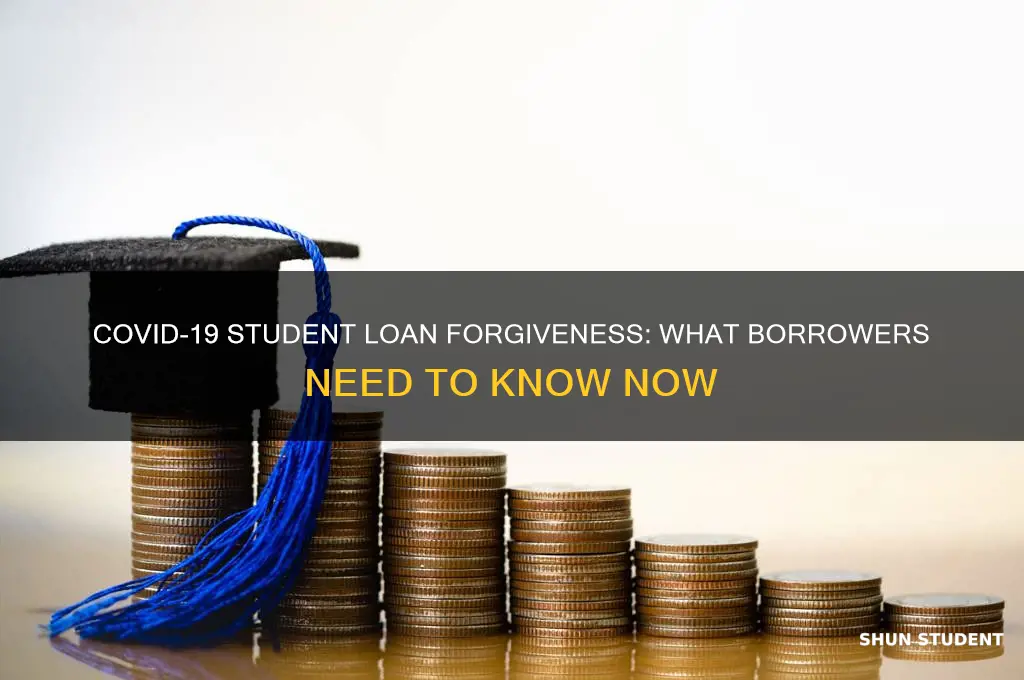 have student loans been forgiven due to covid 19