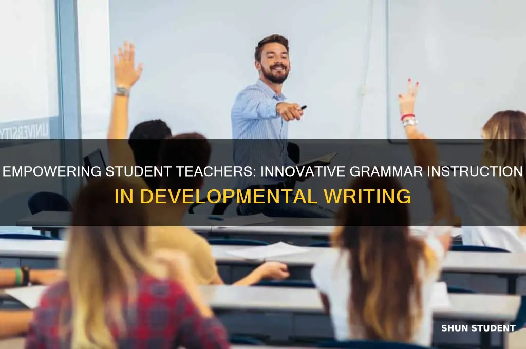 have student teach grammar in developmental writing