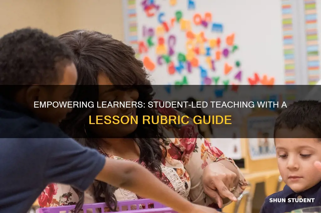 have students teach a lesson rubric