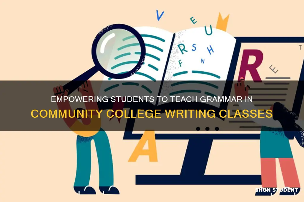 have students teach grammar in developmental writing community college tips