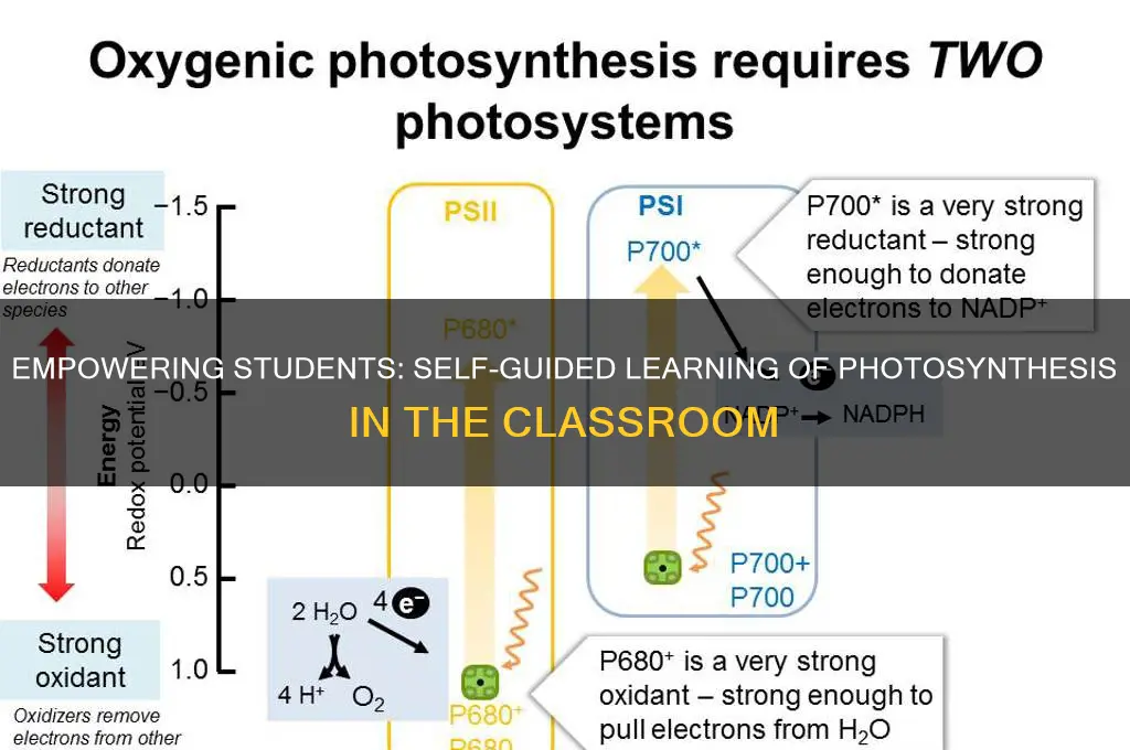 have students teach themselves photosynthesis