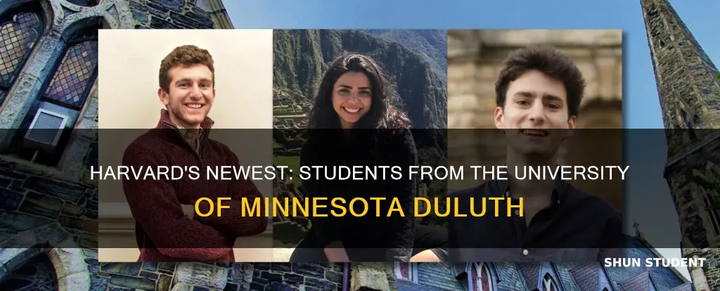 have university of minnesota duluth students gone into harvard