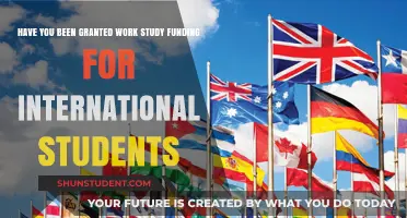 How Work-Study Funding Helps International Students