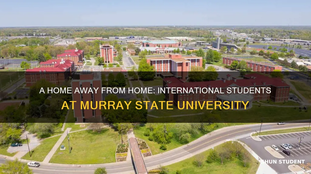 haven at murray state university foreign student