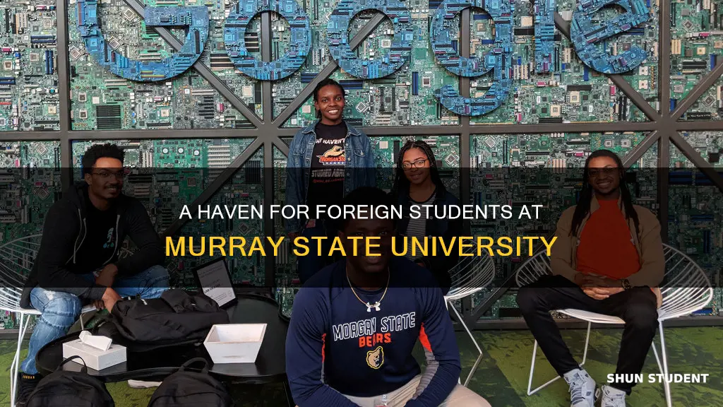 haven at murray state university foreign student