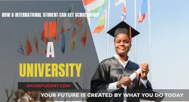 International Student Scholarships: University Guide