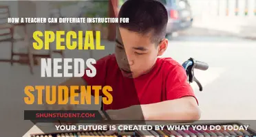 Tailoring Lessons: Differentiated Instruction Strategies for Special Needs Students