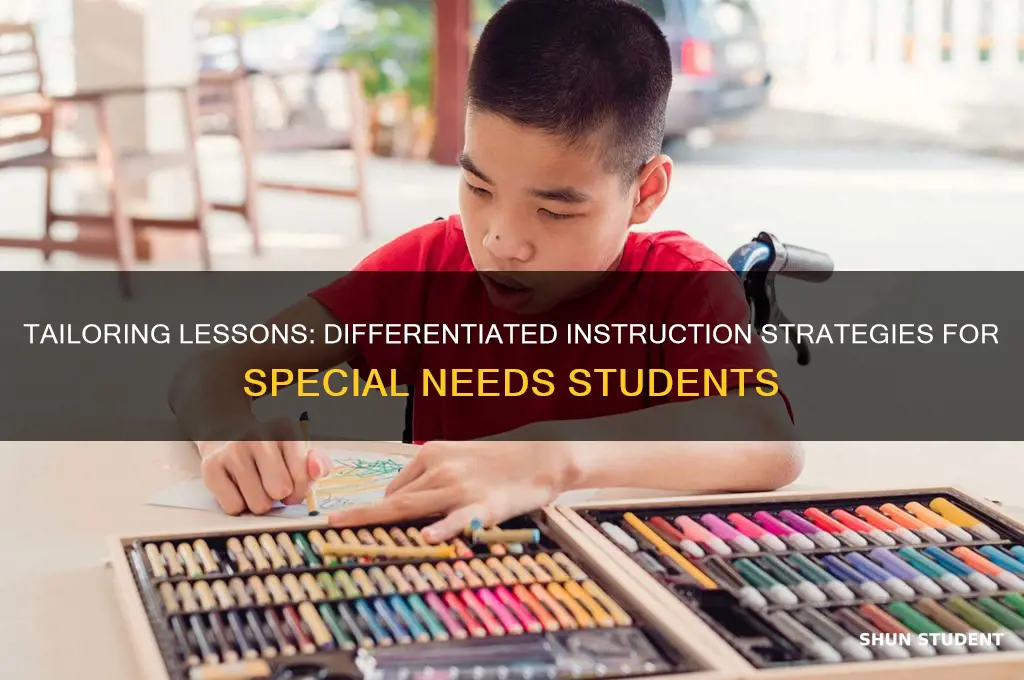 how a teacher can differiate instruction for special needs students