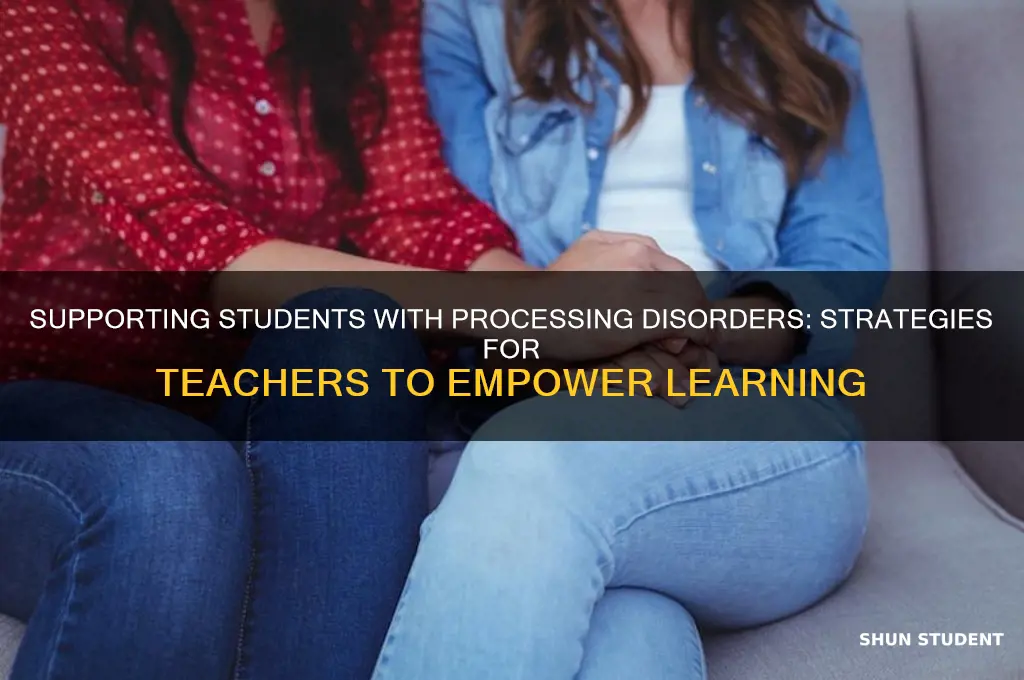 how a teacher can help a student with processing disorder