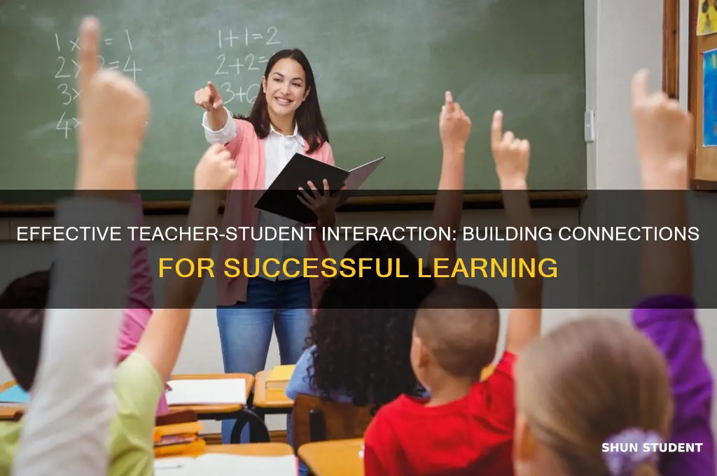 how a teacher interact with students