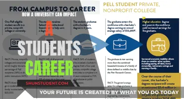 University Choices: Shaping Student Career Trajectories