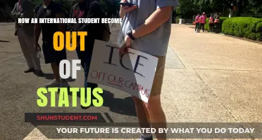 International Student Visa Status: What You Need to Know