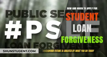 Student Loan Forgiveness: Essential Steps and Timing for Debt Relief