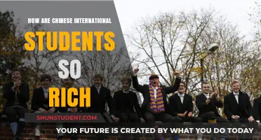 The Wealth of Chinese International Students