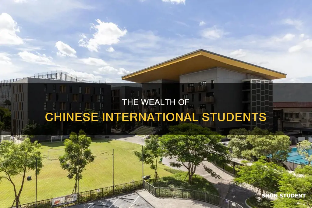 how are chinese international students so rich