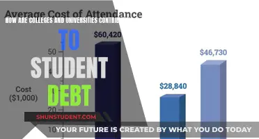 Institutional Failings: Student Debt Crisis