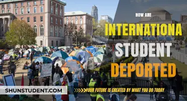 Understanding International Student Deportation