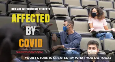 Impact of COVID on International Students