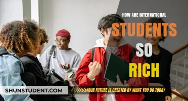The Wealthy International Student Phenomenon: Why So Rich?