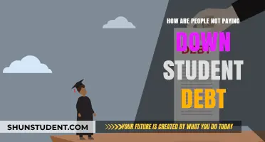 Student Debt: Strategies for Survival and Success