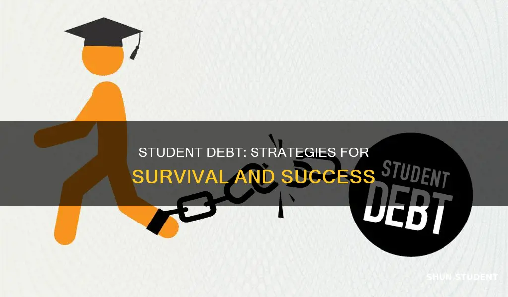 how are people not paying down student debt