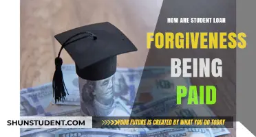 Who's Funding Student Loan Forgiveness? Uncovering the Financial Sources