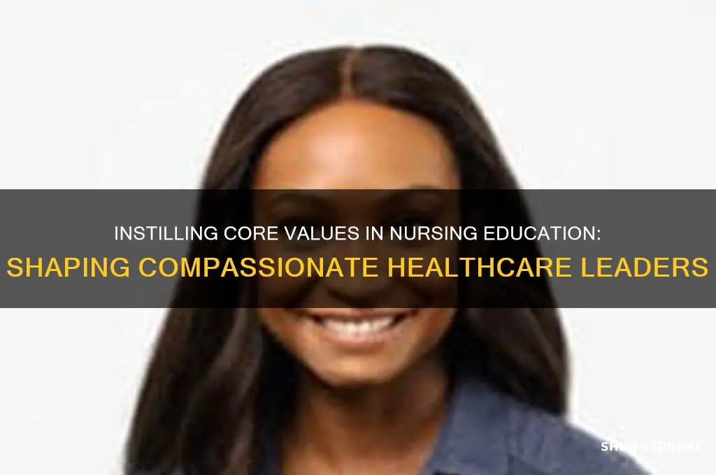 how are the values lived in teaching nursing students