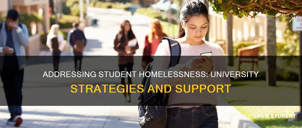 how are universities handling homelessness among student population