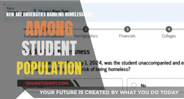 Addressing Student Homelessness: University Strategies and Support