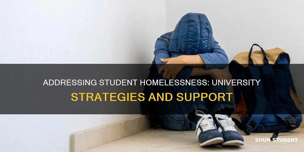 how are universities handling homelessness among student population