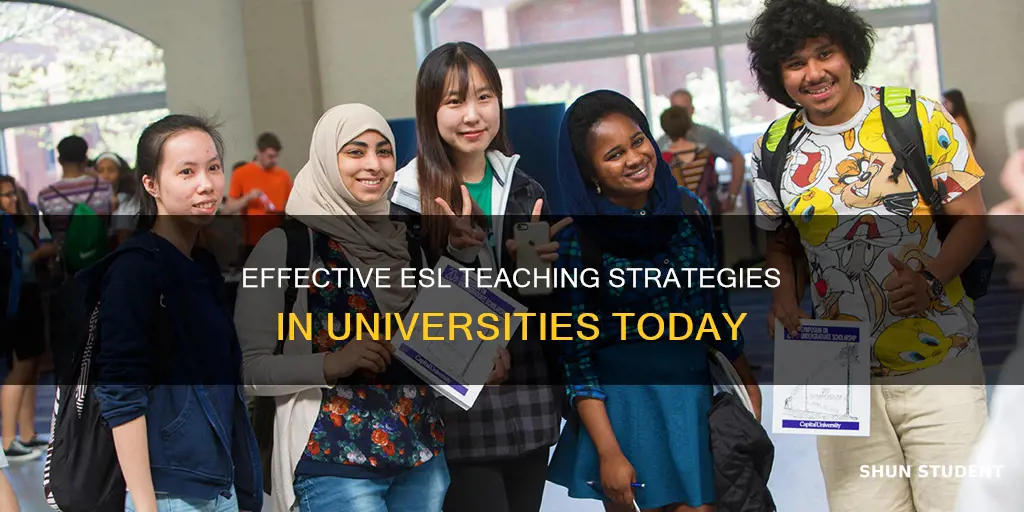 how are universities teaching esl students