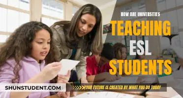Teaching ESL Students: University Strategies and Methods