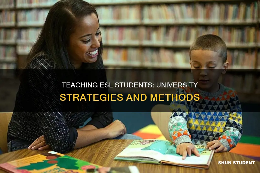 how are universities teaching esl students
