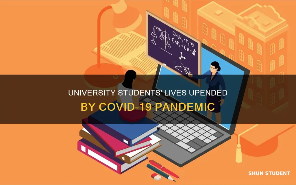 how are university students affected by covid 19